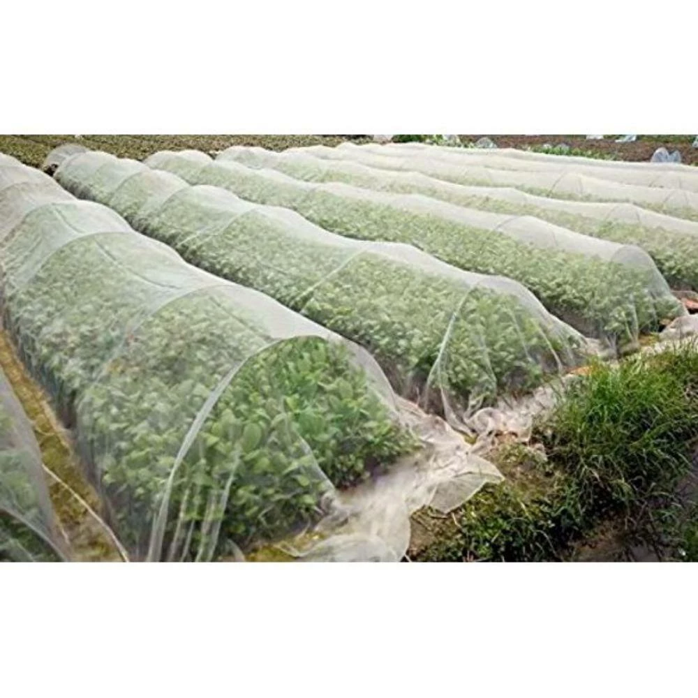 Agfabric Birds and Squirrels Netting Bug Insect Net Bird Netting Protect Plants Fruits Flowers Against Bugs - Image 4
