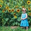 Gurney's Sunflower Sunny Hedge Blend (25 Seed Packet)