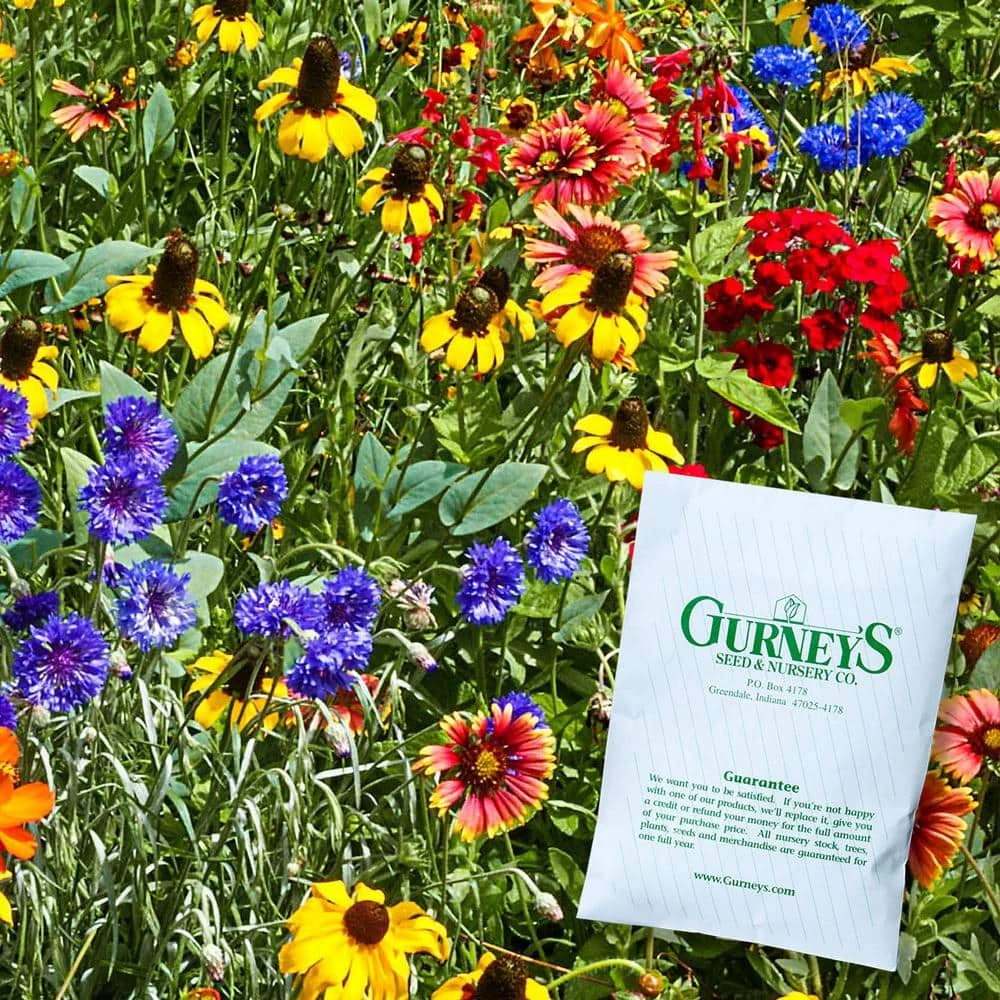 Gurney's Southeast Wildflower Seed Mixture (300-Seed Packet)