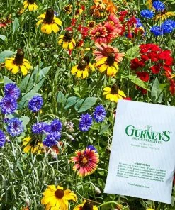 Gurney's Desert Climate Wildflower Seed Mixture (Approximately 300 Seed Packet)
