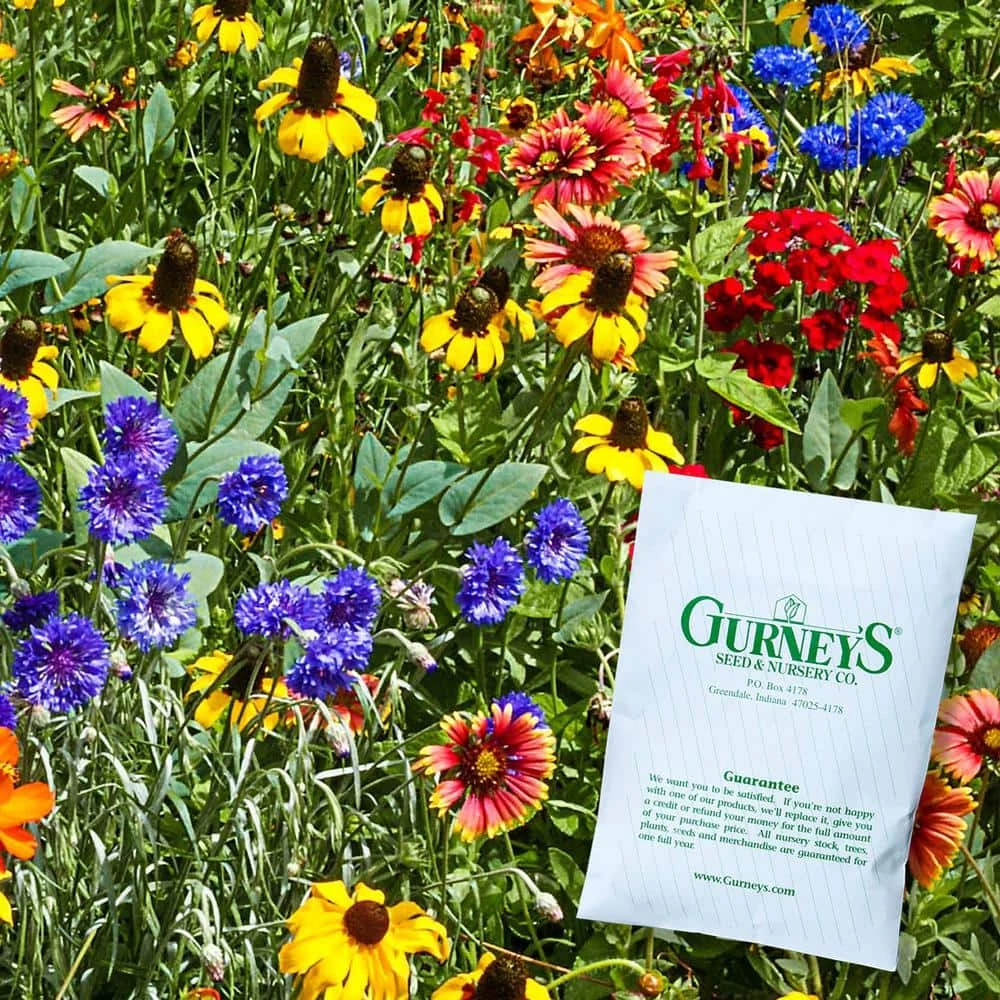 Gurney's Desert Climate Wildflower Seed Mixture (Approximately 300 Seed Packet)