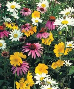 Gurney's Shade Loving Wildflower Seed Mixture (0.5 oz. Seed Packet)
