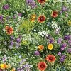 Gurney's Beneficial Bug Attractors Wildflower Seed Mixture (300 Seed Packet)