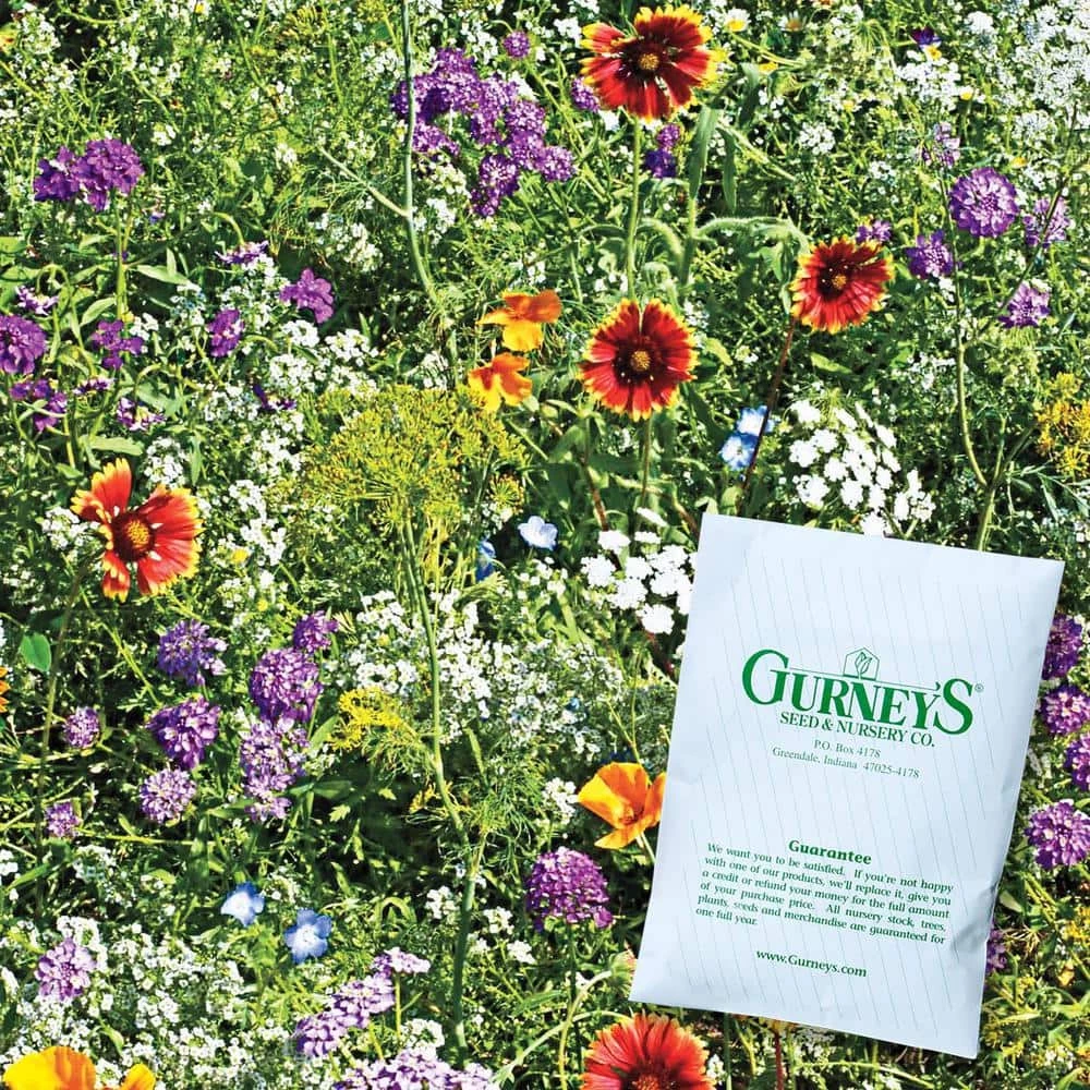 Gurney's Beneficial Bug Attractors Wildflower Seed Mixture (300 Seed Packet) - Image 2