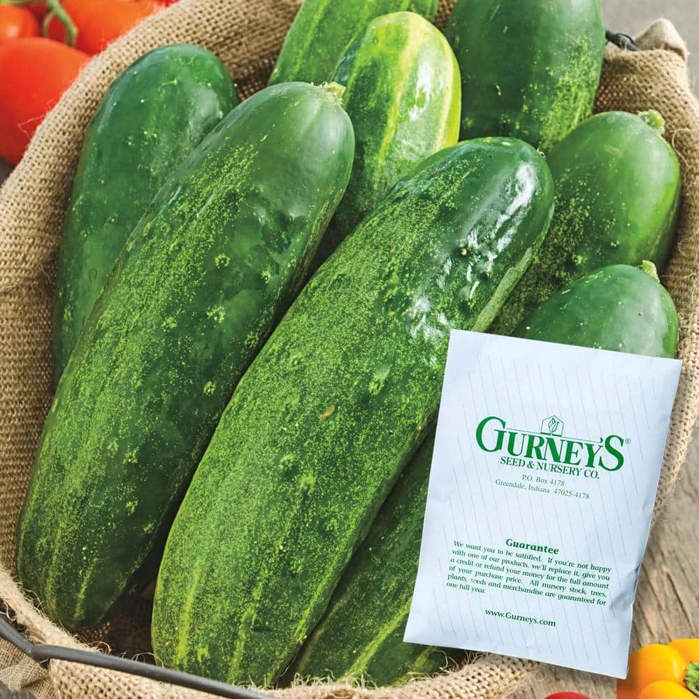 Gurney's Cucumber Slicing Straight 8 (100 Seed Packet)