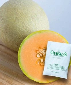 Gurney's Melon Sarah's Choice Hybrid (20 Seed Packet)