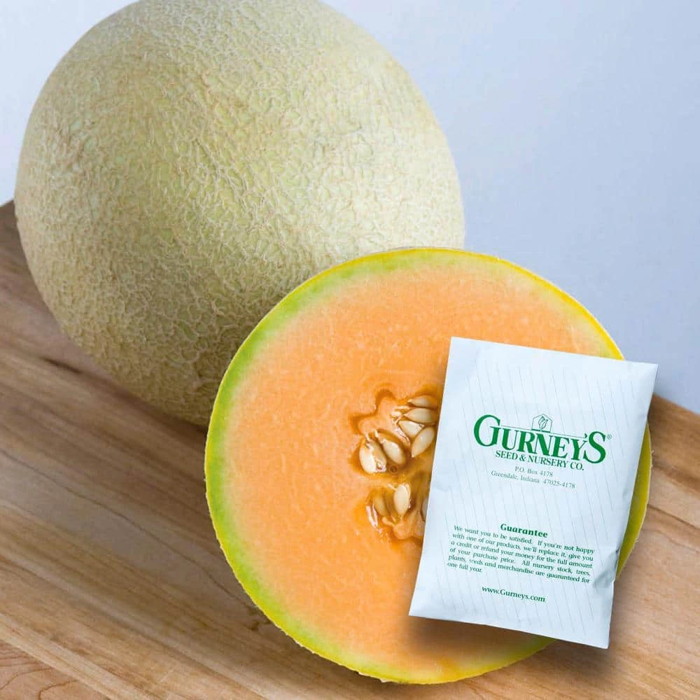 Gurney's Melon Sarah's Choice Hybrid (20 Seed Packet)