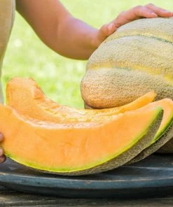 Gurney's Melon El Gordo Hybrid Vegetable Seeds (10 Seed Packet)