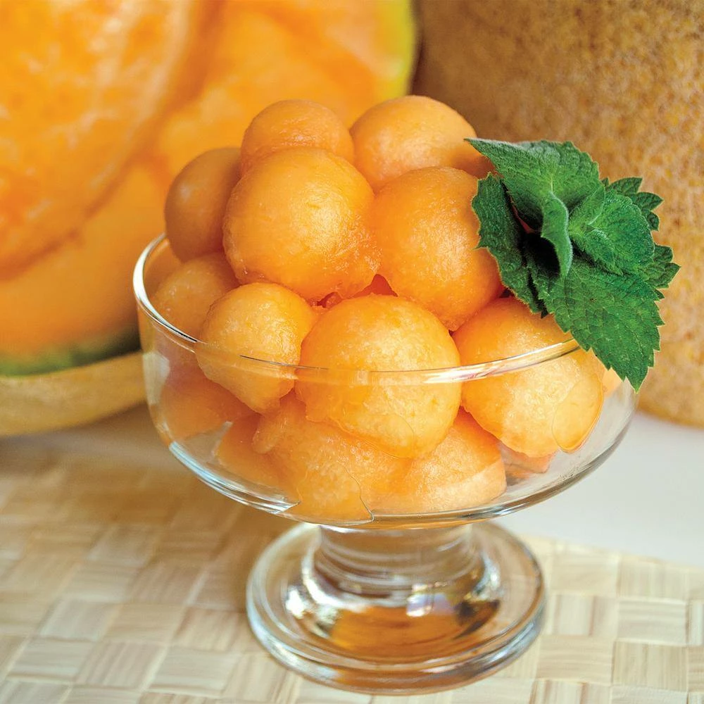 Gurney's Cantaloupe Ambrosia Hybrid (20 Seed Packet) - Image 4