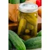 Gurney's Cucumber Pickling Perfect Pickle Hybrid Vegetable Seed (35 Seed Packet)