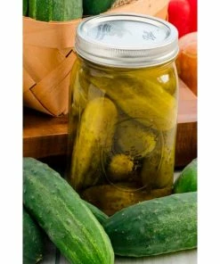 Gurney's Cucumber Pickling Perfect Pickle Hybrid Vegetable Seed (35 Seed Packet)