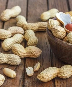 Gurney's Seed Peanuts Bailey Virginia (1 lb. Pack)