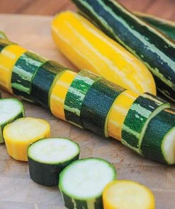 Gurney's Summer Squash Grillers Mixture (25 Seed Packet)