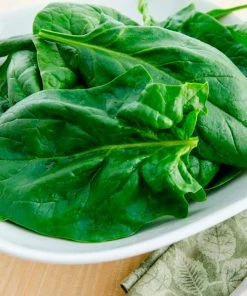 Gurney's Spinach Goliath (200 Seed Packet)