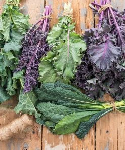 Gurney's Kale Winter Wonderland Mixtur (100 Seed Packet)