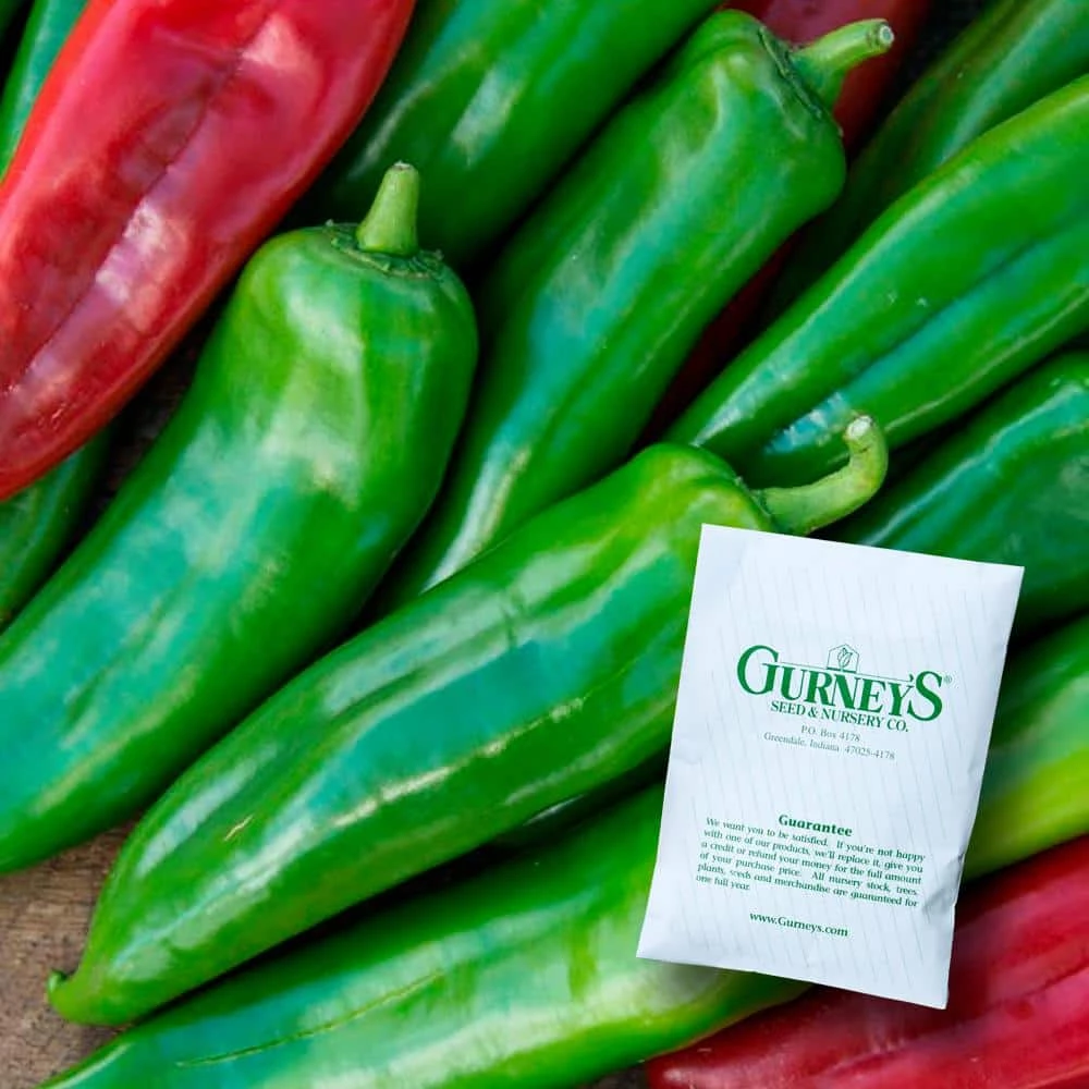 Gurney's Hot Pepper Anaheim 118 Hybrid Seed (15-Pack)
