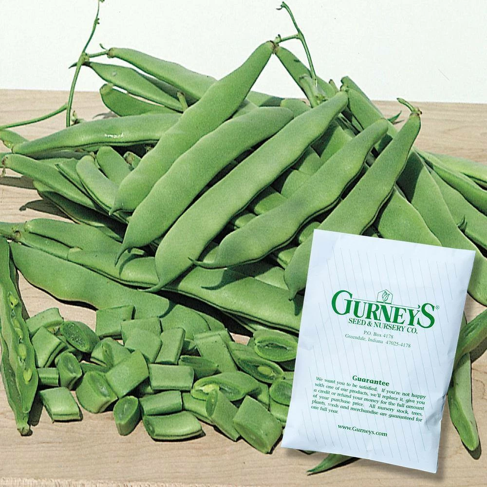 Gurney's Bush Bean Roma II (2 lbs. Seed Packet) - Image 2