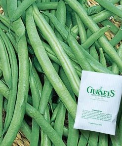 Gurney's 0.5 lb. Bush Bean Early Contender (Seed Packet)
