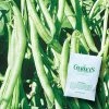 Gurney's 0.5 lb. Pole Bean Kentucky Blue (Seed Packet)