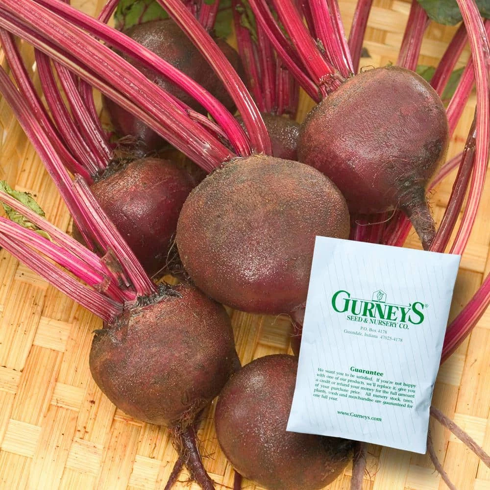 Gurney's 1 oz. Beet Ruby Queen (Seed Packet)