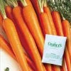 Gurney's 0.5 oz. Carrot Tender sweet (Seed Packet)
