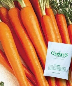 Gurney's 0.5 oz. Carrot Tender sweet (Seed Packet)