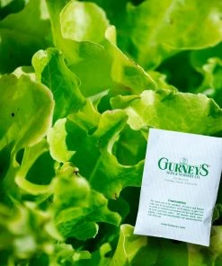 Gurney's Lettuce Leaf Salad Bowl (1,000 Seed Packet)