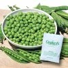 Gurney's 0.50 lb. Pea Little Marvel (Seed Packet)