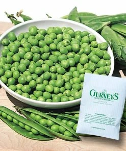 Gurney's 0.50 lb. Pea Little Marvel (Seed Packet)