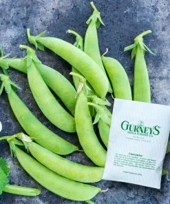 Gurney's Snap Pea Sugar Ann (225 Seed Packet)