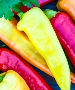 Gurney's Sweet Pepper Sweet Banana (100 Seed Packet)