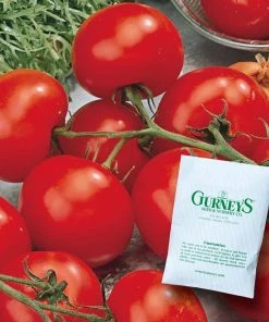 Gurney's Tomato Better Boy Hybrid (30 Seed Packet)