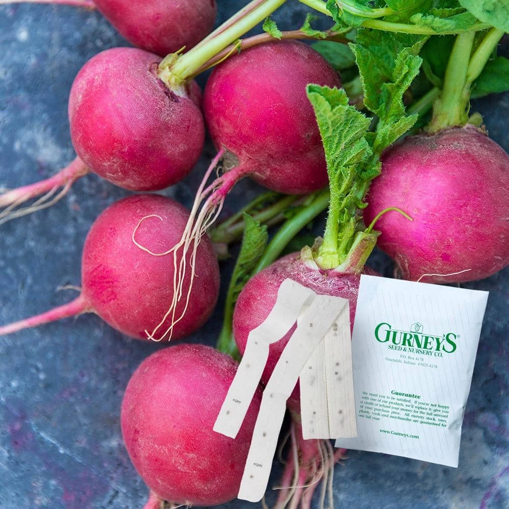 Gurney's 15 ft. Radish Cherry Belle (Seed Tape)