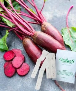 Gurney's Beet Forono 15 ft. Seed Tape