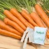 Gurney's Carrot Tendersweet 15 ft. Seed Tape