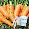 Gurney's Carrot Danvers Half Long (15 ft. Seed Tape)