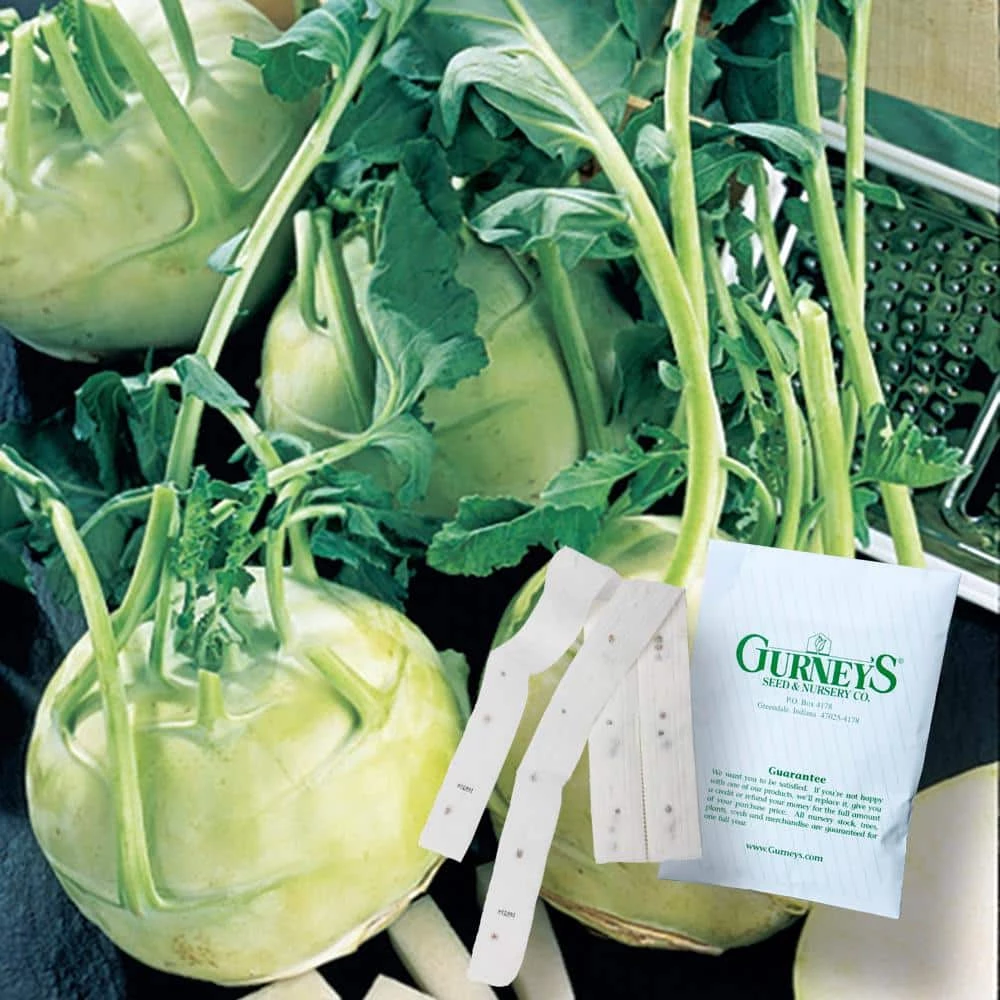 Gurney's Kohlrabi Early White Vienna 15 ft. Seed Tape