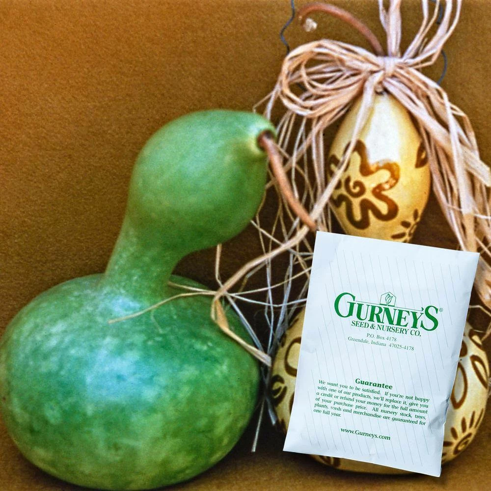 Gurney's Gourd Birdhouse Seeds (25 Seed Packet) - Image 4