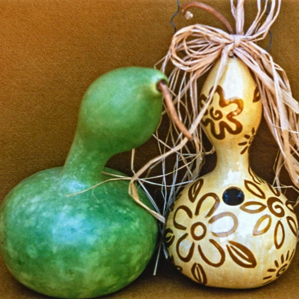Gurney's Gourd Birdhouse Seeds (25 Seed Packet) - Image 3