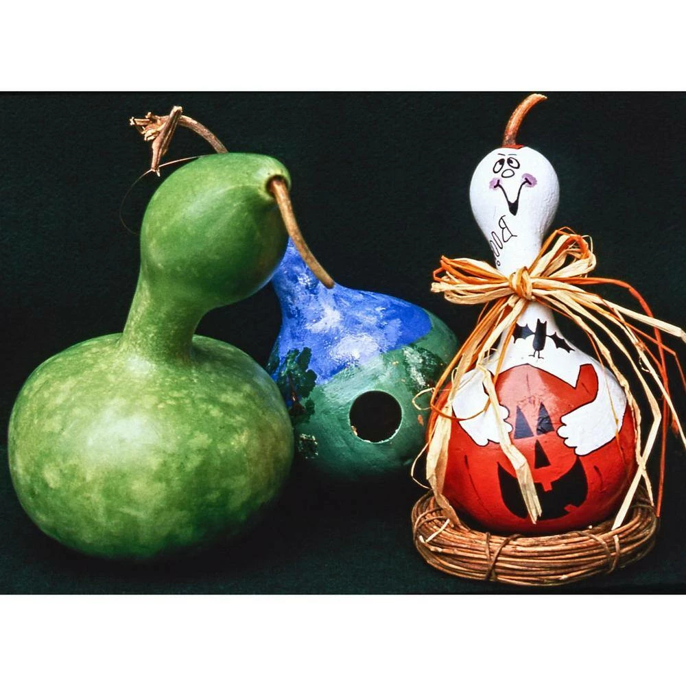 Gurney's Gourd Birdhouse Seeds (25 Seed Packet) - Image 2