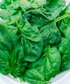 Gurney's Spinach Acadia Hybrid Vegetable Seeds (200 Seed Packet)