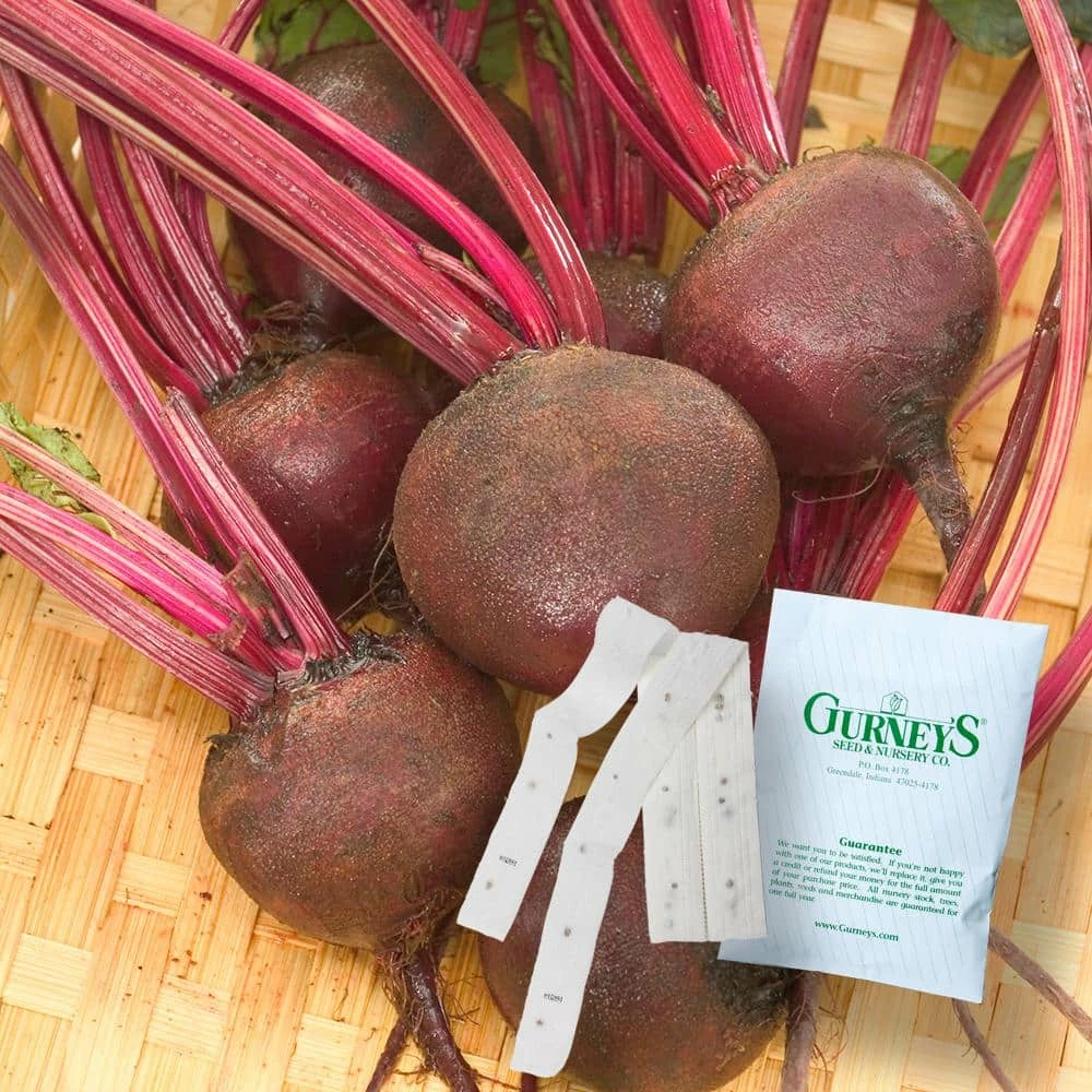 Gurney's Beet Ruby Queen 15 ft. Seed Tape