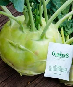 Gurney's Kohlrabi Kossak Hybrid Seed (50-Pack)