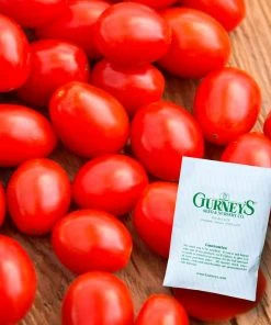 Gurney's Tomato Jelly Beans Hybrid (30 Seed Packet)