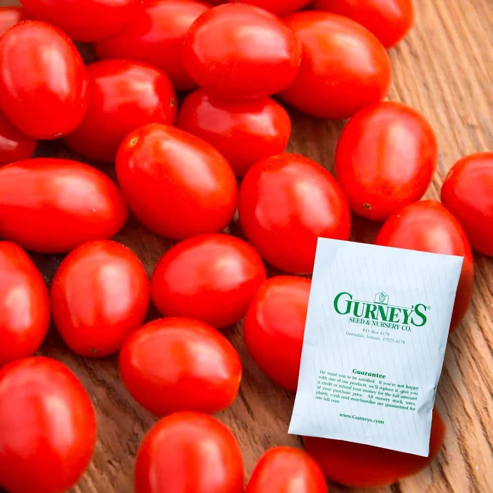 Gurney's Tomato Jelly Beans Hybrid (30 Seed Packet)