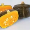 Gurney's Squash Winter Bonbon Hybrid Vegetable Seeds (15 Seed Packet)