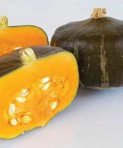 Gurney's Squash Winter Bonbon Hybrid Vegetable Seeds (15 Seed Packet)