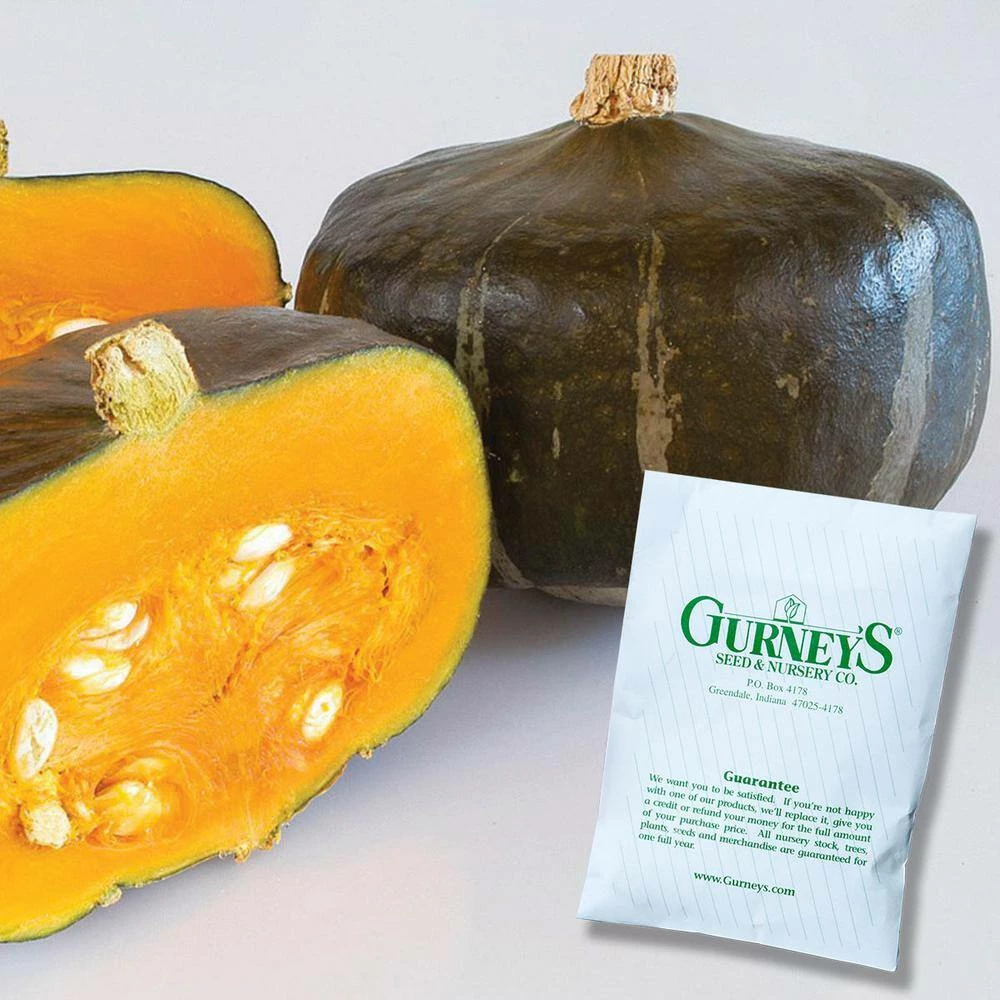Gurney's Squash Winter Bonbon Hybrid Vegetable Seeds (15 Seed Packet) - Image 2