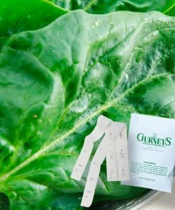 Gurney's Spinach Goliath 15 ft. Seed Tape