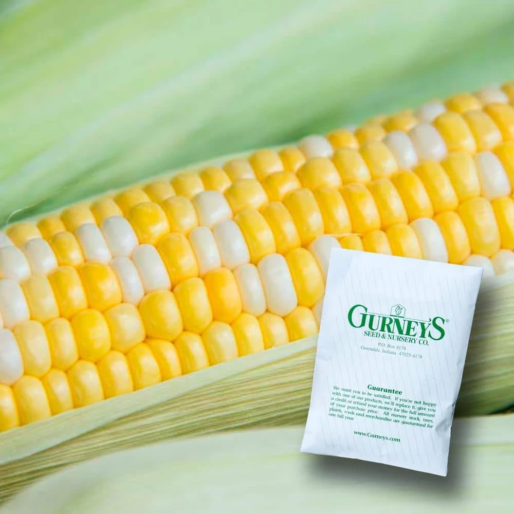 Gurney's Sweet Corn Gotta Have It Hybrid (200 Seed Packet)